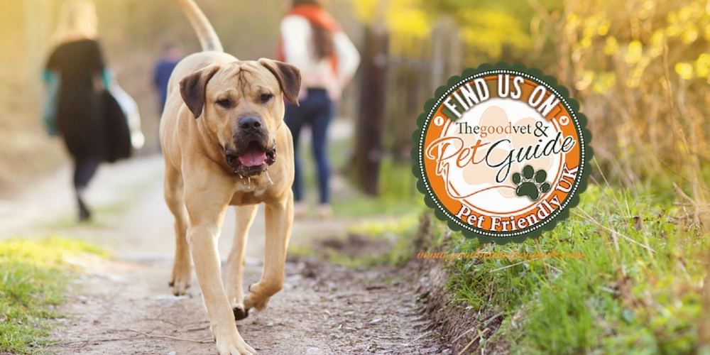 We're now listed on the Good Vet & Pet Guide - Mother & Nature