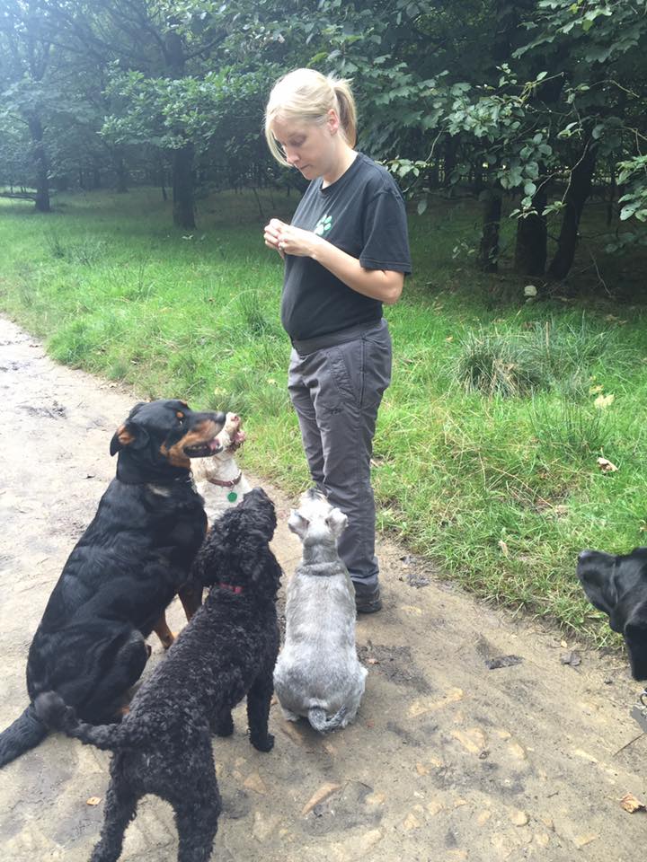 Fab walking maternity trousers for a professional dog walker! - Mother & Nature