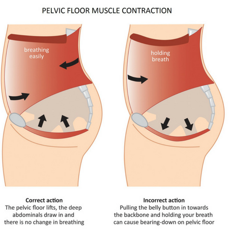 Pelvic Floor Exercises – Why They are Especially Important During Pregnancy