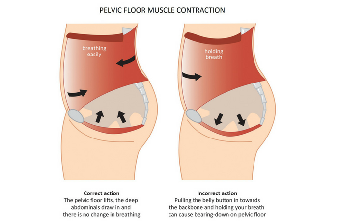 Pelvic Floor Exercises Importance during Pregnancy Mother & Nature
