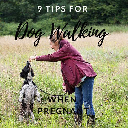 dog walking whilst pregnant
